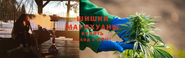 индика Бородино