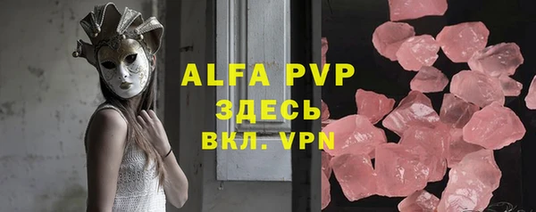 индика Бородино