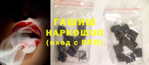 индика Бородино