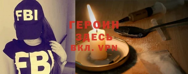 индика Бородино