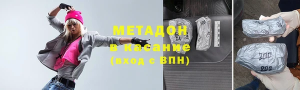 индика Бородино