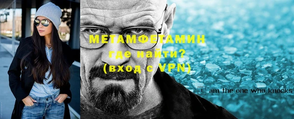 индика Бородино