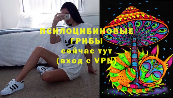 spice Бронницы
