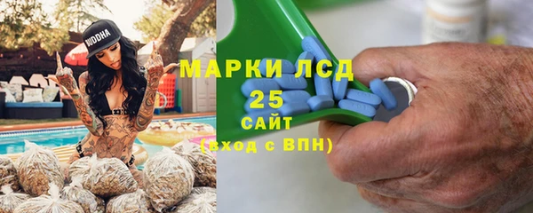 индика Бородино