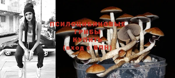 spice Бронницы