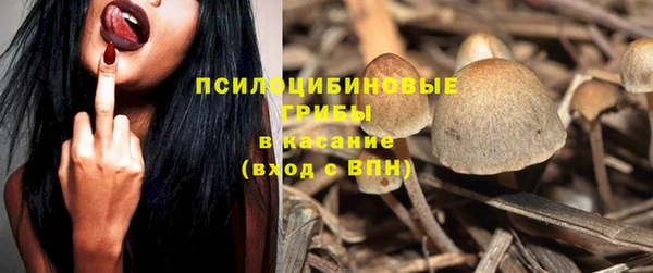 spice Бронницы