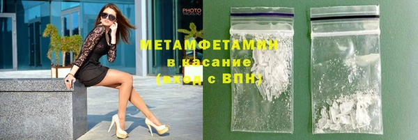 индика Бородино