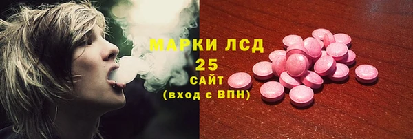 индика Бородино