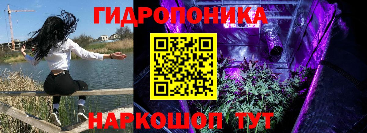 Каннабис SATIVA & INDICA Верхняя Салда